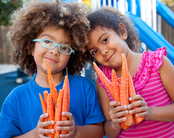 Host a Virtual Food Drive